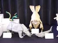 Origami works by Joseph WU